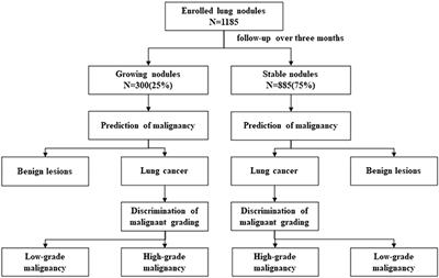 Preoperative Changes of Lung Nodule on Computed Tomography and Their Relationship With Pathological Outcomes